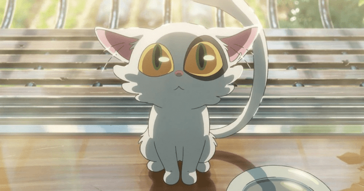 القط الغامض "دايجين"