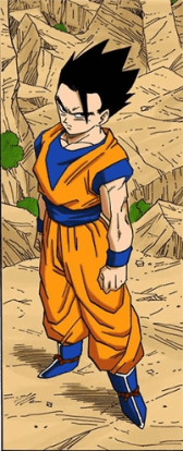 شخصية  سون قوهان - انمي دراغون بول زد